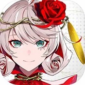 正版欲钱料全解
